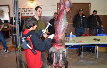 Trapper Training Workshop