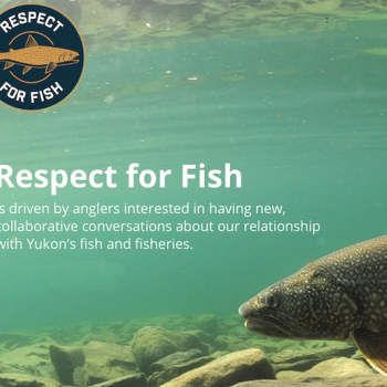 Respect for Fish V5
